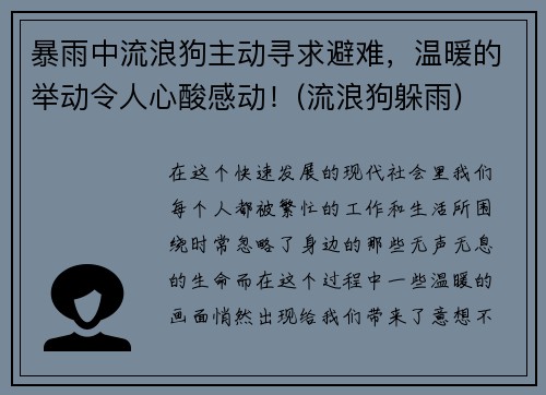 暴雨中流浪狗主动寻求避难，温暖的举动令人心酸感动！(流浪狗躲雨)